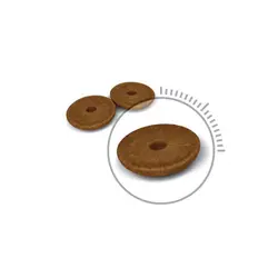 غذای خشک گربه دایجستیو Digestive Care رویال کنین وزن 2 کیلوگرم