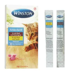 بستنی گربه با طعم گوشت گاو و پنیر وینستون – Winston 2×4 Schleckerli