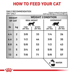 غذای درمانی گربه یوریناری Urinary S/O رویال کنین وزن 1.5 کیلوگرم