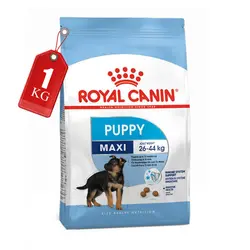 غذای خشک مکسی پاپی Maxi Puppy رویال کنین وزن 1 کیلوگرم - پناهگاه