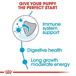 غذای خشک مکسی پاپی Maxi Puppy رویال کنین وزن 1 کیلوگرم - پناهگاه
