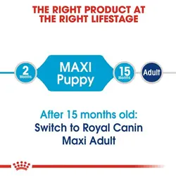 غذای خشک مکسی پاپی Maxi Puppy رویال کنین وزن 1 کیلوگرم - پناهگاه