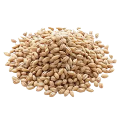 گندم پوست کنده درجه یک سهند مارکت - 1 کیلوگرم