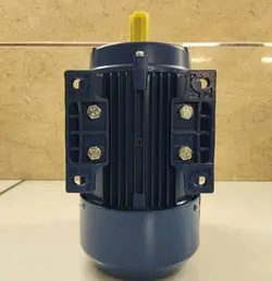 الکتروموتور 0.75 کیلووات تک فاز - Guanglu