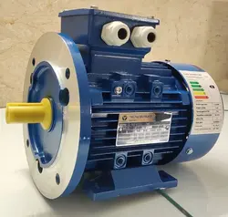 الکتروموتور 0.33 اسب 700 دور - ERCEM