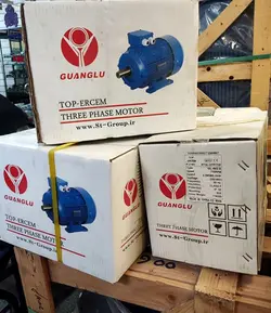 الکتروموتور 0.33 اسب 700 دور - ERCEM