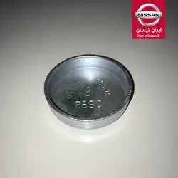 پولک آب بزرگ سیلندر پاترول 6 سیلندر ایرانی