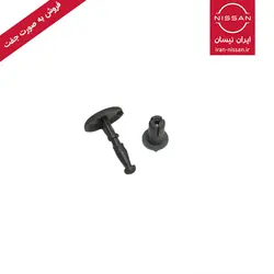 خار بلندگویی عقب رونیز