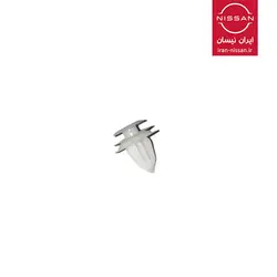 خار تودری رونیز