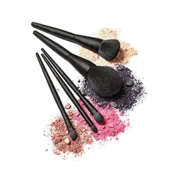 ست براش مری کی