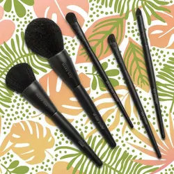 ست براش مری کی