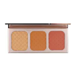 پالت رژگونه 3 رنگ کارکتر NTE004