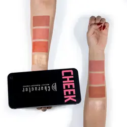 پالت هایلایتر و رژگونه کارکتر C-A201