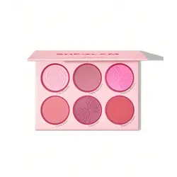 پالت رژگونه شیگلم BLUSHING BOUQUET