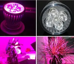 لامپ رشد گیاه ۵ وات ~ ۱۵wl لنزدار با پایه خرطومی فول اسپکتروم