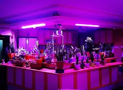 وال واشر LED رشد گیاه ۲۴ وات ~ ۷۲wl فول اسپکتروم