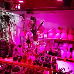 وال واشر LED رشد گیاه ۳۶ وات ~ ۱۱۰wl فول اسپکتروم
