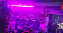 وال واشر LED رشد گیاه ۳۶ وات ~ ۱۱۰wl فول اسپکتروم