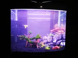 وال واشر ۳۶ وات ~ ۱۱۰wl مخصوص آکواریوم