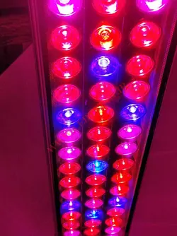 وال واشر LED رشد گیاه ۵۴وات ~ ۱۷۰wl فول اسپکتروم