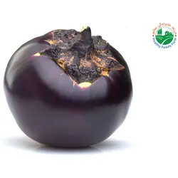 بادمجان ژاپنی دلمه ای ارگانیک