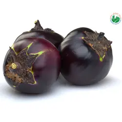 بادمجان ژاپنی دلمه ای ارگانیک