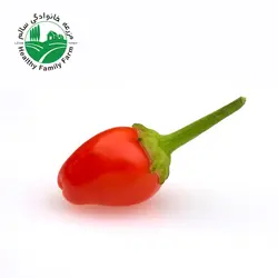 فلفل تند ریز ارگانیک