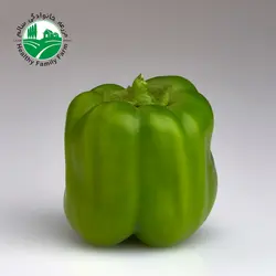فلفل دلمه ای رنگی ارگانیک
