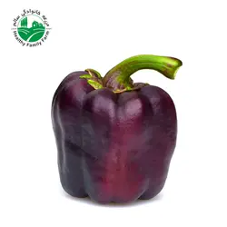 فلفل دلمه ای رنگی ارگانیک