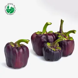 فلفل دلمه ای رنگی ارگانیک