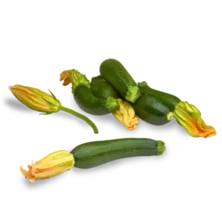 کدو سبز افریقایی