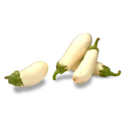 بادمجان قلمی سفید