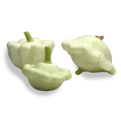 کدو ستاره‌ای ارگانیک
