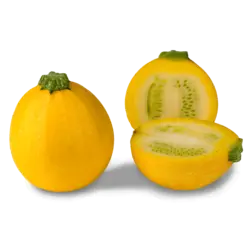 کدو گرد زرد ارگانیک