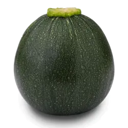 کدو گرد سبز ارگانیک