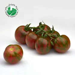 گوجه فرنگی رنگی