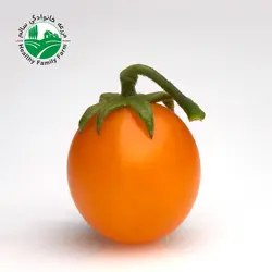 گوجه فرنگی نارنجی