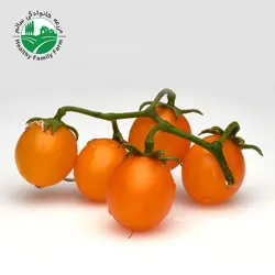 گوجه فرنگی نارنجی