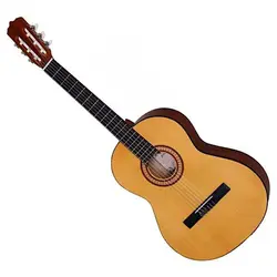 گیتار پارسی مدل p40