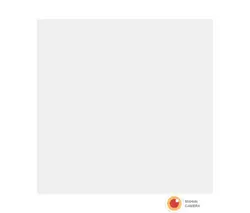 فون و بکگراند مخمل سفید 2*3