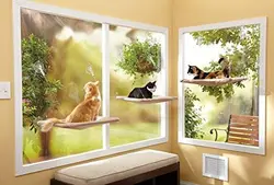 تخت پنجره ای گربه (بانوج) سانی سیت - پت شاپ آنلاین اورنگ پت