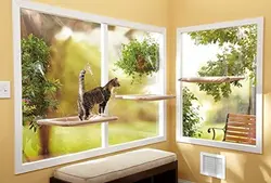 تخت پنجره ای گربه (بانوج) سانی سیت - پت شاپ آنلاین اورنگ پت