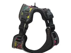 قلاده کتفی سگ و گربه میلان پت مدل اسپایدر سایز متوسط + لید مخصوص - پت شاپ آنلاین اورنگ پت