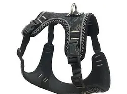 قلاده کتفی سگ و گربه میلان پت مدل اسپایدر سایز متوسط + لید مخصوص - پت شاپ آنلاین اورنگ پت