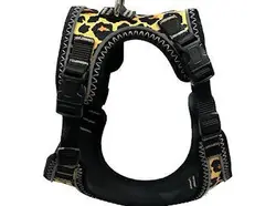 قلاده کتفی سگ و گربه میلان پت مدل اسپایدر سایز متوسط + لید مخصوص - پت شاپ آنلاین اورنگ پت