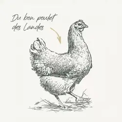 غذای خشک بچه گربه بابین با طعم مرغ وزن 8 کیلوگرم - پت شاپ آنلاین اورنگ پت