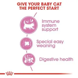 غذای خشک گربه رویال کنین مدل Mother & Babycat بسته ۲ کیلوگرمی - پت شاپ آنلاین اورنگ پت