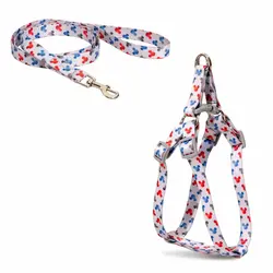 قلاده کتفی سگ و گربه نیناپت مدل ریتم همراه با لید سایز صفر - پت شاپ آنلاین اورنگ پت