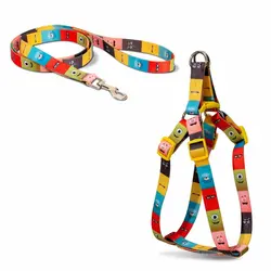 قلاده کتفی سگ نیناپت مدل پترن همراه با لید سایز 2 - پت شاپ آنلاین اورنگ پت