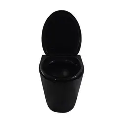 توالت فرنگی آنتی باکتریال وال هنگ استیل گلچین